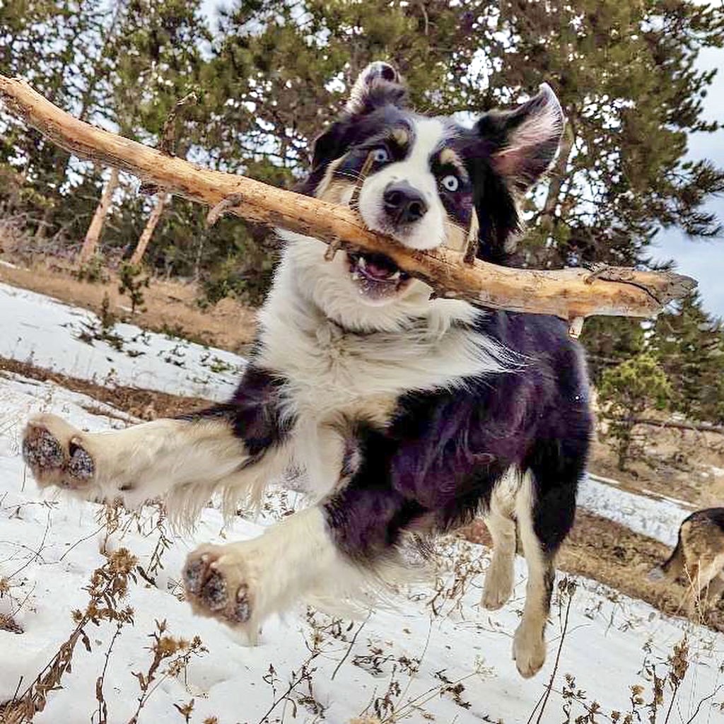 5EE17378-8A15-4C8A-A262-9B8E41FA7FEA