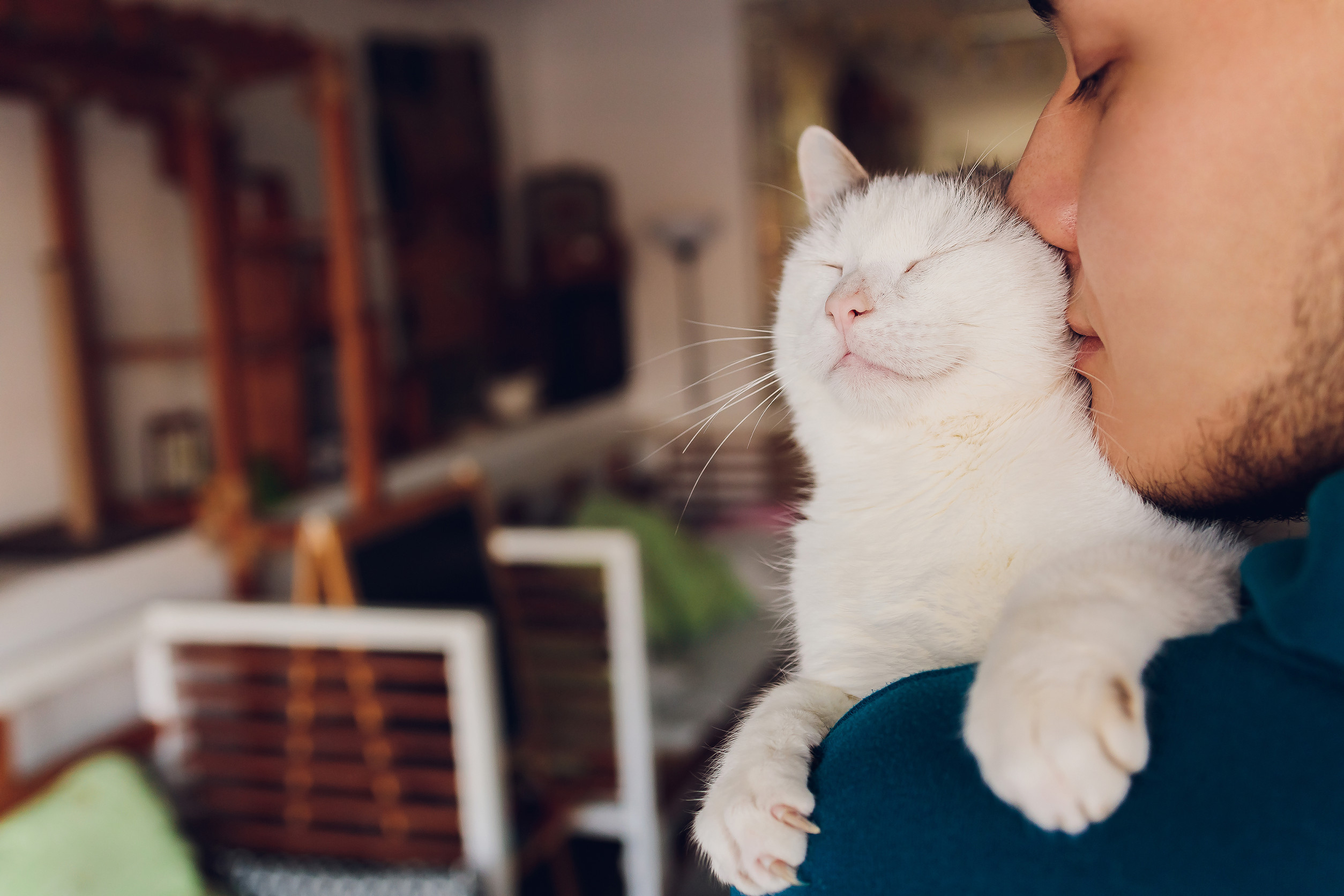 young man holding a white cat close-up.